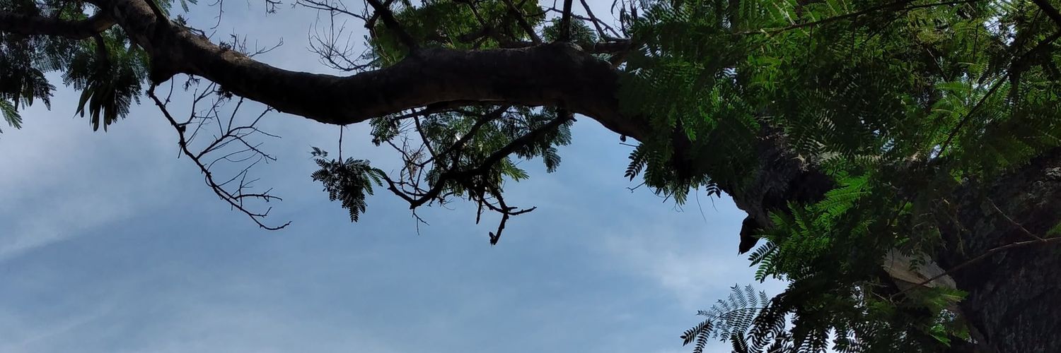 Edilio Peña banner