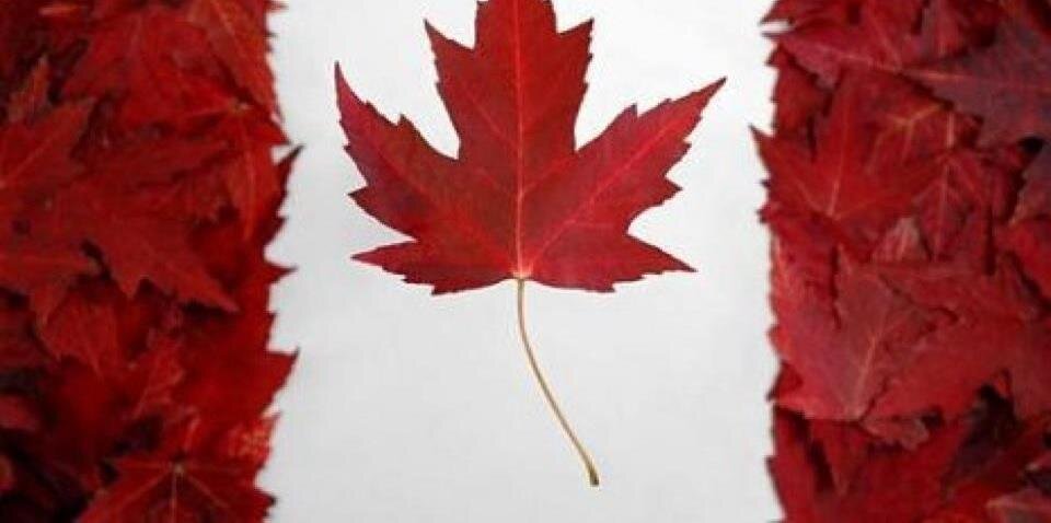 Michael Lauzon 🇨🇦🇫🇷🏴󠁧󠁢󠁳󠁣󠁴󠁿🇯🇲 banner