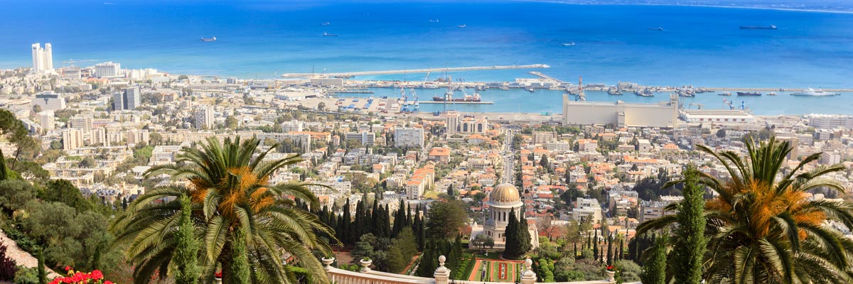 Roni Nitecki Wilke banner