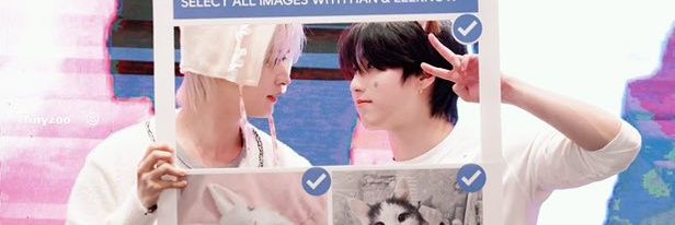 anothercalle's profile banner image