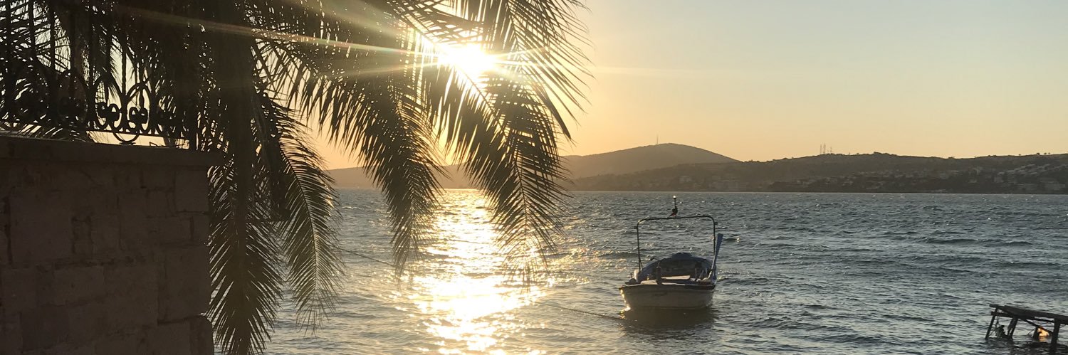 mertbozalan's profile banner image