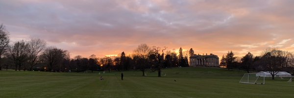 GreenFrog8 Profile Banner