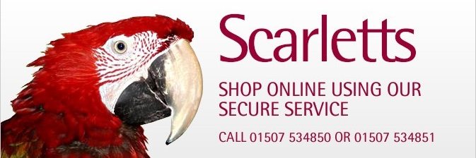 Scarletts Parrot Essentials banner