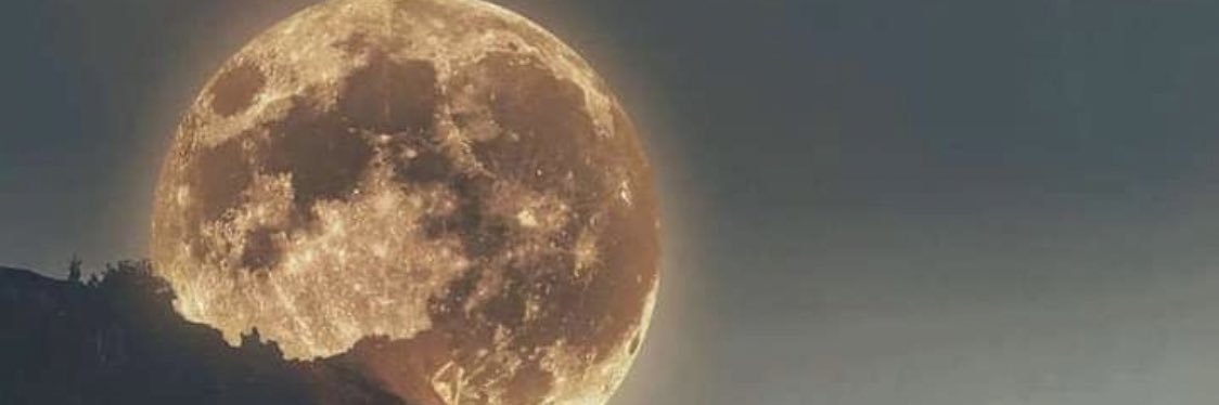 العواجي (بو بدر) banner