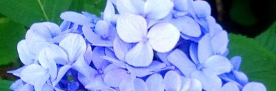 Fuzzyboots_'s profile banner image