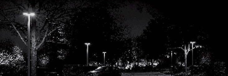 Willow banner