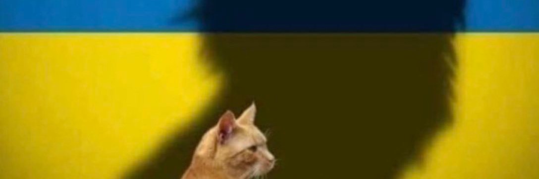 Pavol Krupka banner