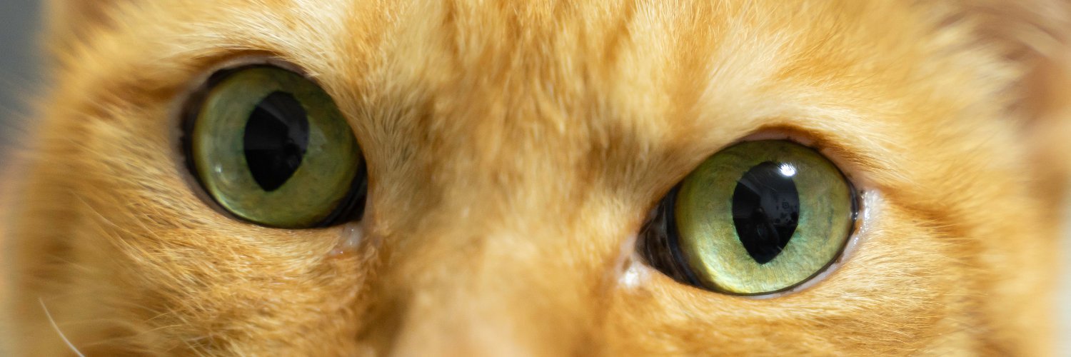 kenzzzzii's profile banner image