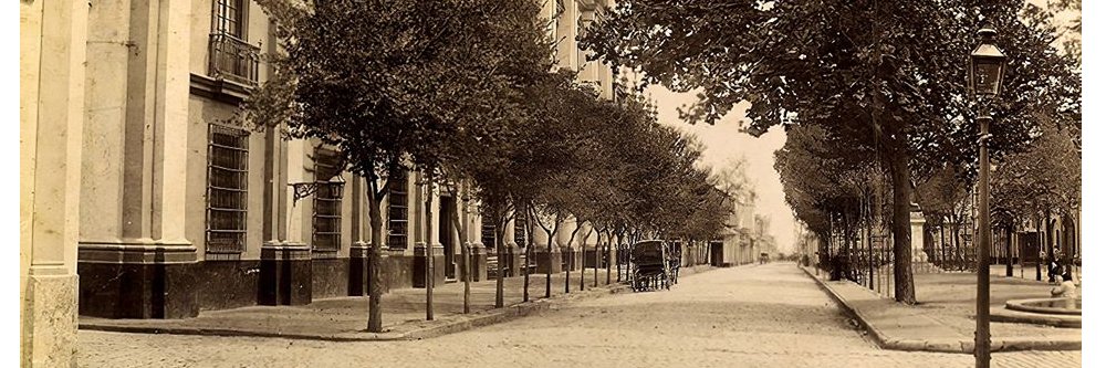 José Marfull banner