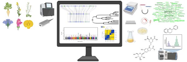 Plant Biotechnology and Bioinformatics Profile Banner