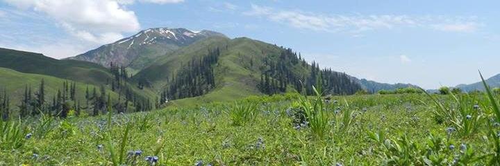 jawadbasheer's profile banner image