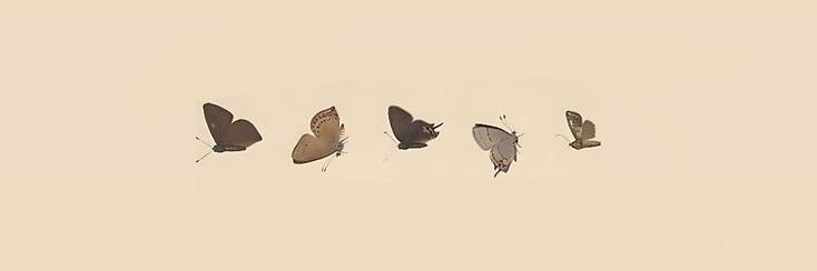 𝐦𝐢𝐥𝐤𝐚𝐚 ☾ banner