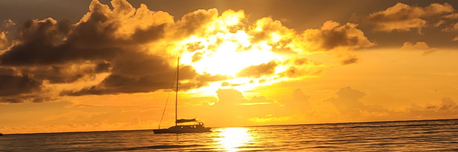 Johnny Fugazi banner