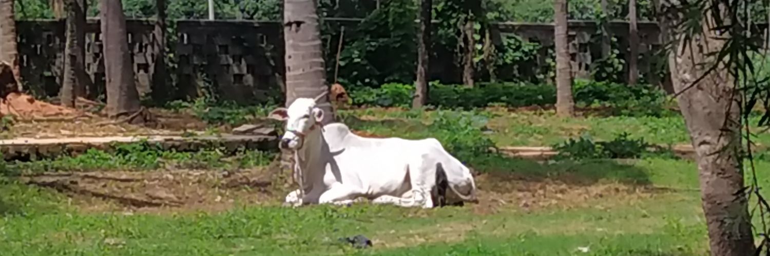 SunandaBLR's profile banner image