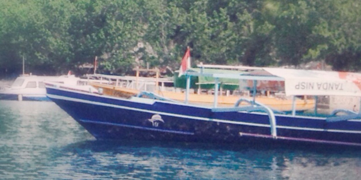 M. Bagas satrio W banner