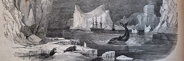 CaptFitzjamesRN Profile Banner