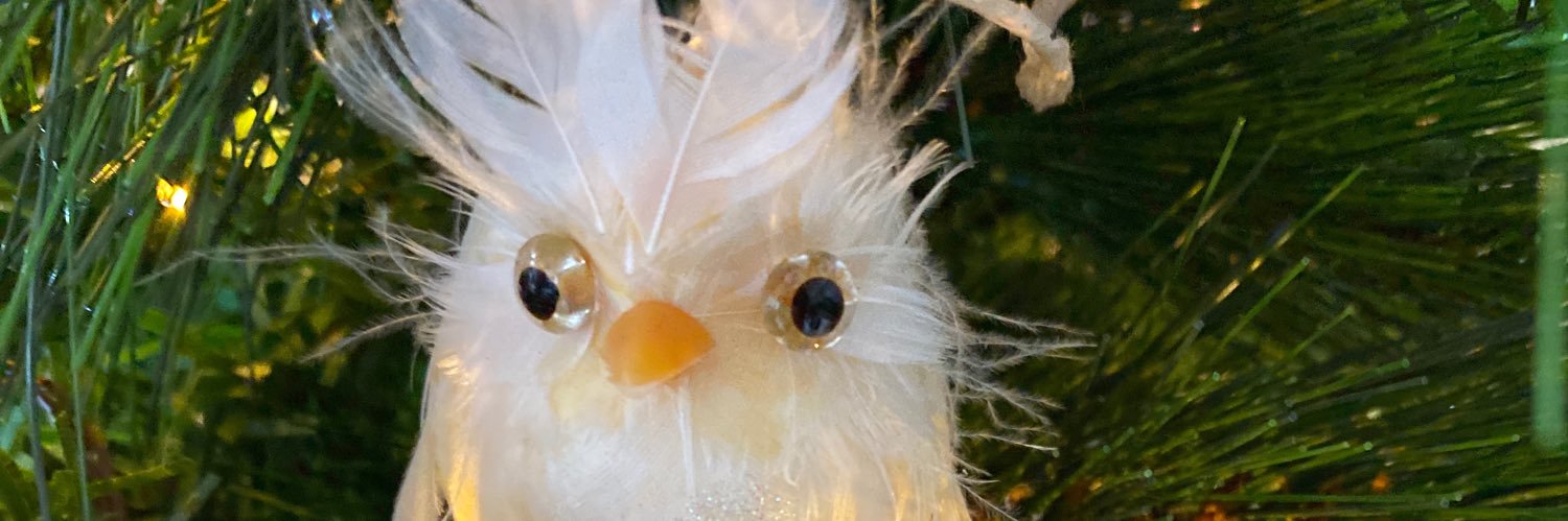 Renzlik's profile banner image