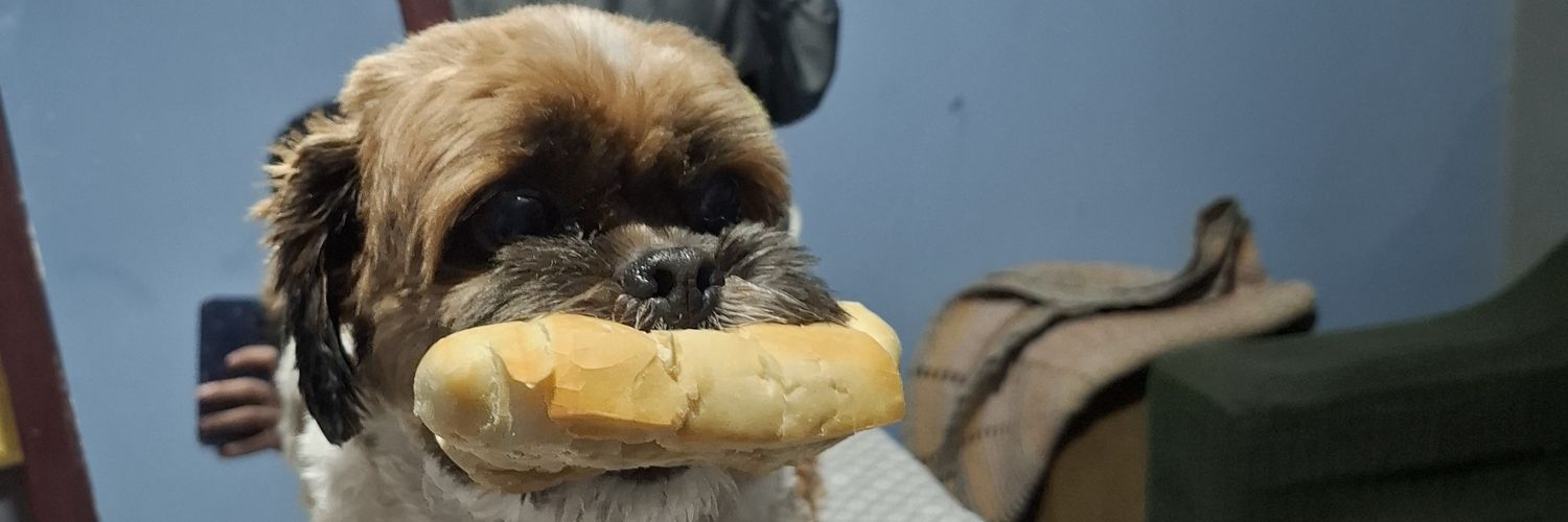 pedroceitos's profile banner image