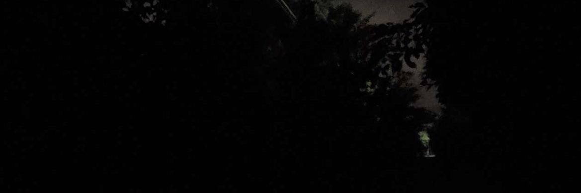 Viuuy_'s profile banner image