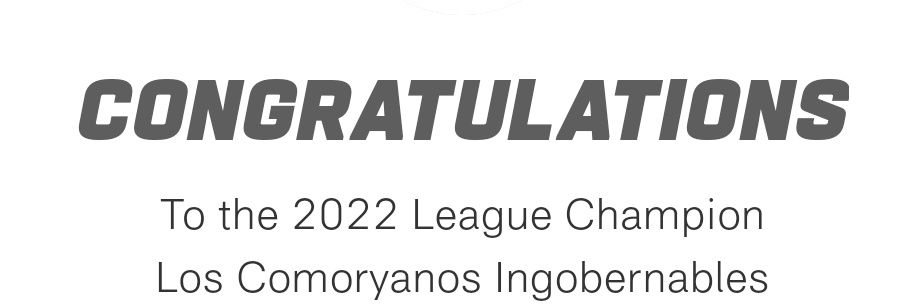 router ospf 269 banner