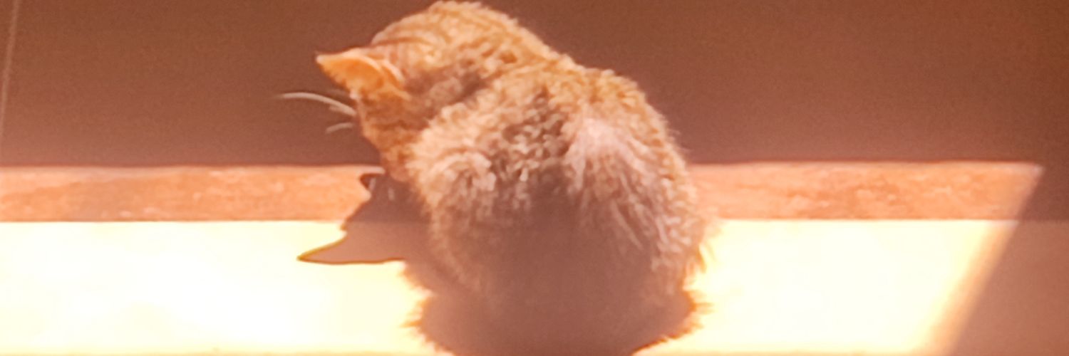 Bad mfer banner