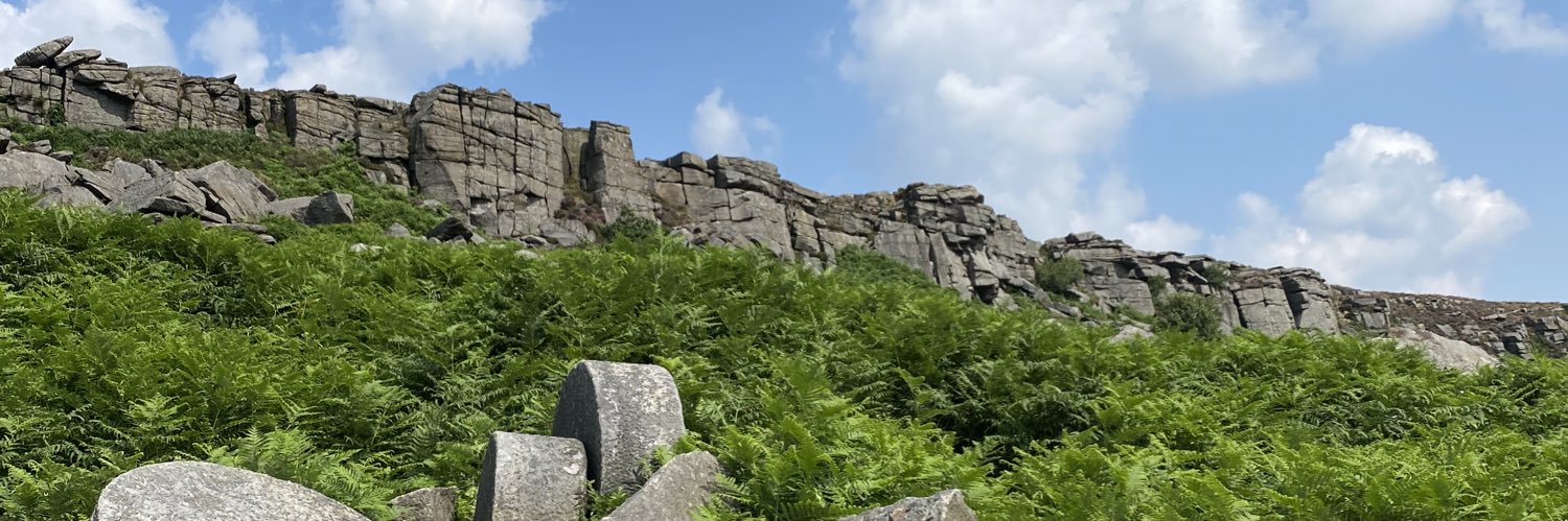 Steph Williams banner