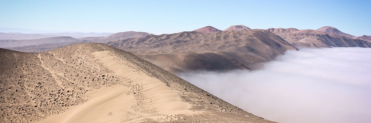 nomadesert's profile banner image