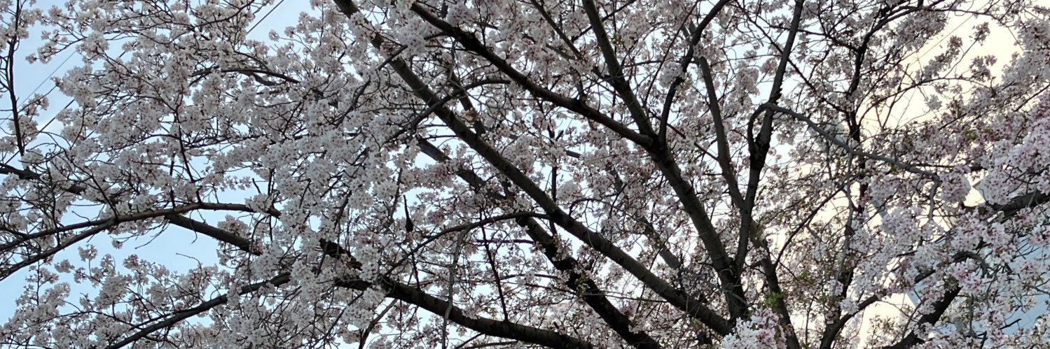 大地さん banner
