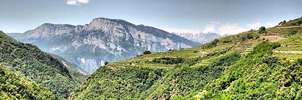 CembraniDOC Profile Banner