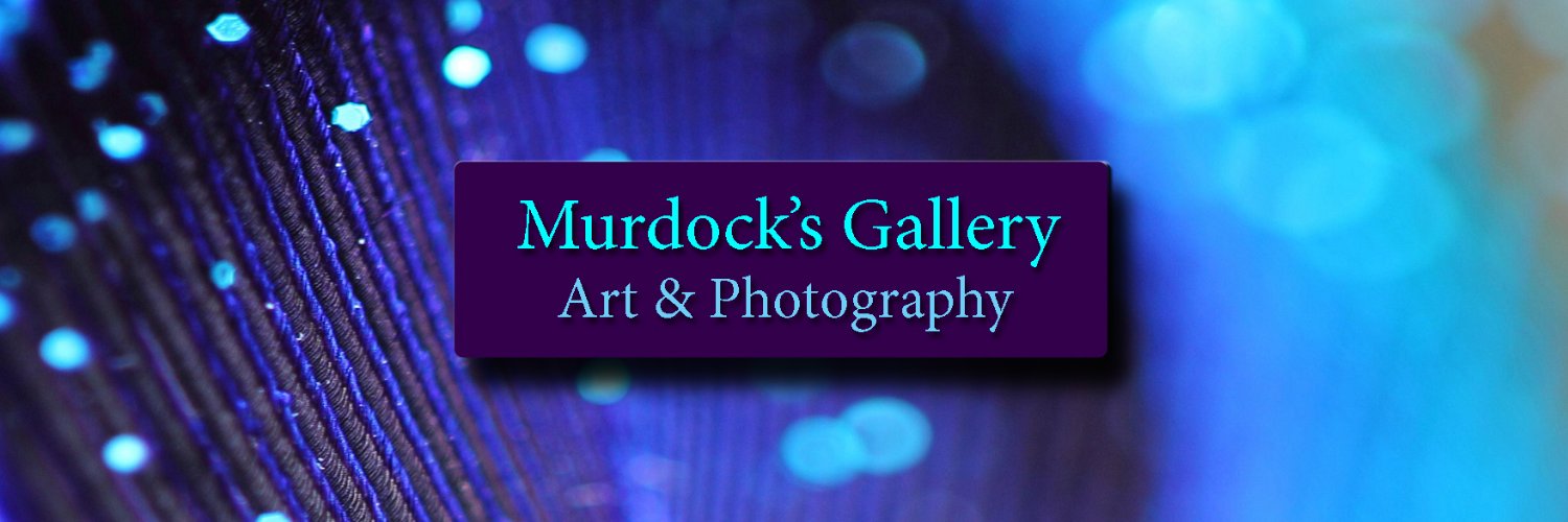 MurdocksGallery's profile banner image