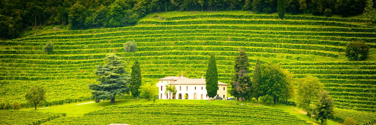 Benton Wadacrespo // banner