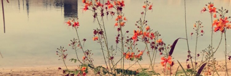 555Amoor's profile banner image