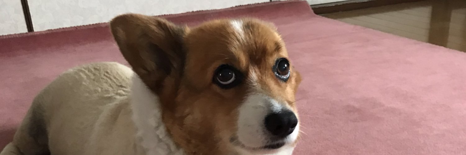 hdyky's profile banner image