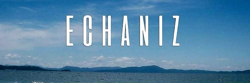 MARCELO DANIEL ECHANIZ banner