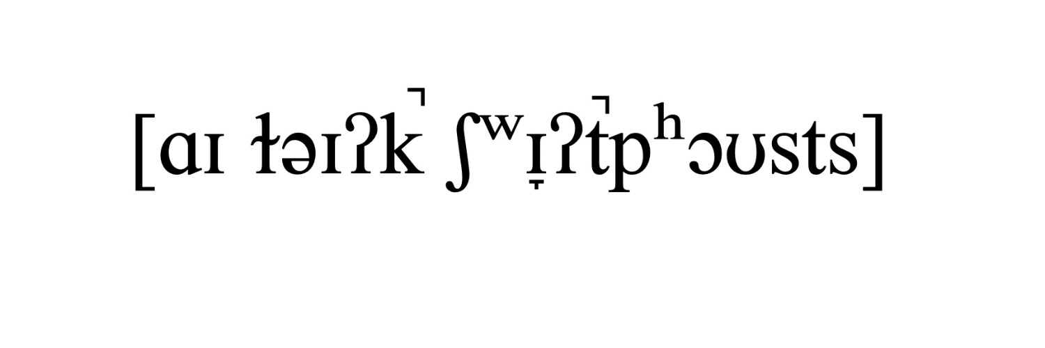 Tim the Shitposting Linguist's banner