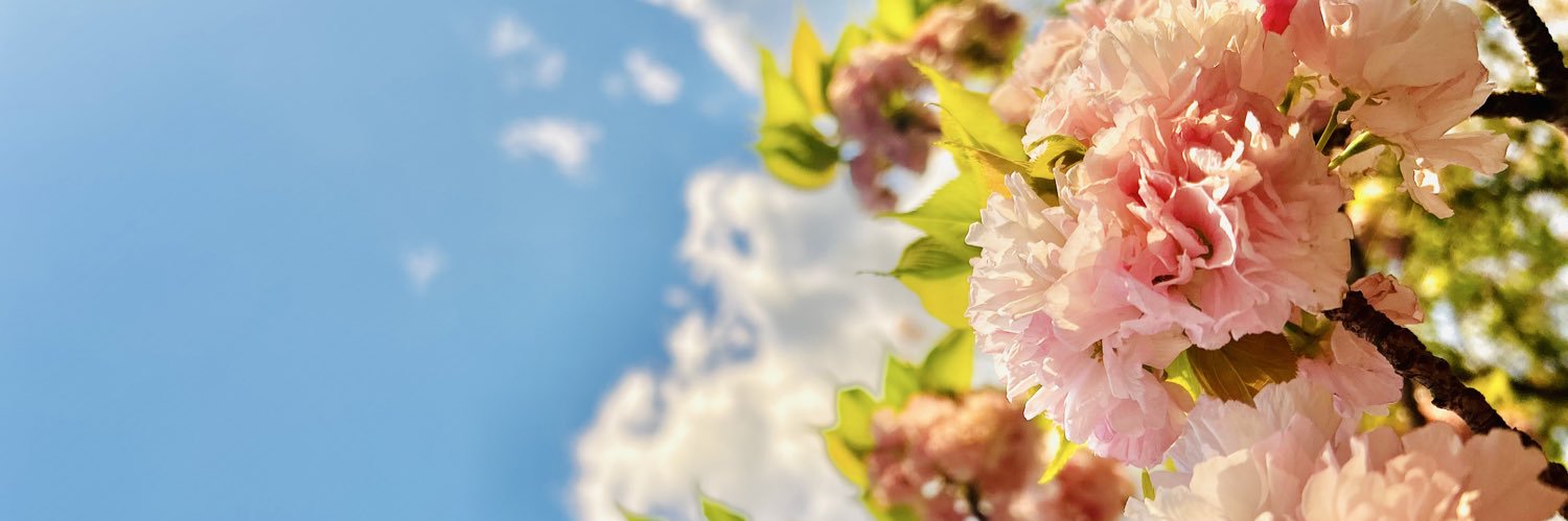 ENa3_Tw's profile banner image