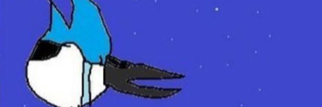 p's banner