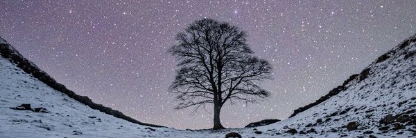 OnceAFarmer Profile Banner