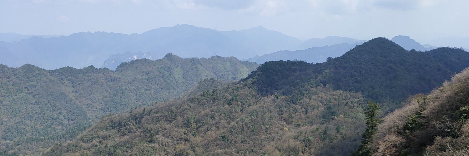 SUOPOSHIJAIy's profile banner image