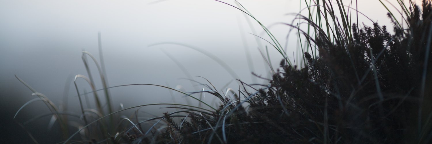 Rustrup's profile banner image