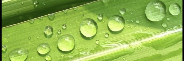 TSCarpetClean Profile Banner