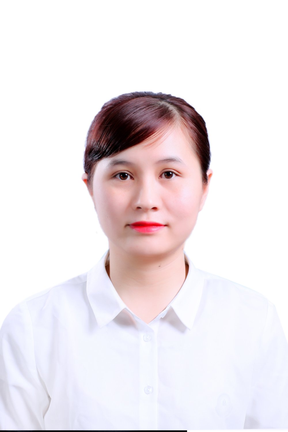 ngo thien an banner