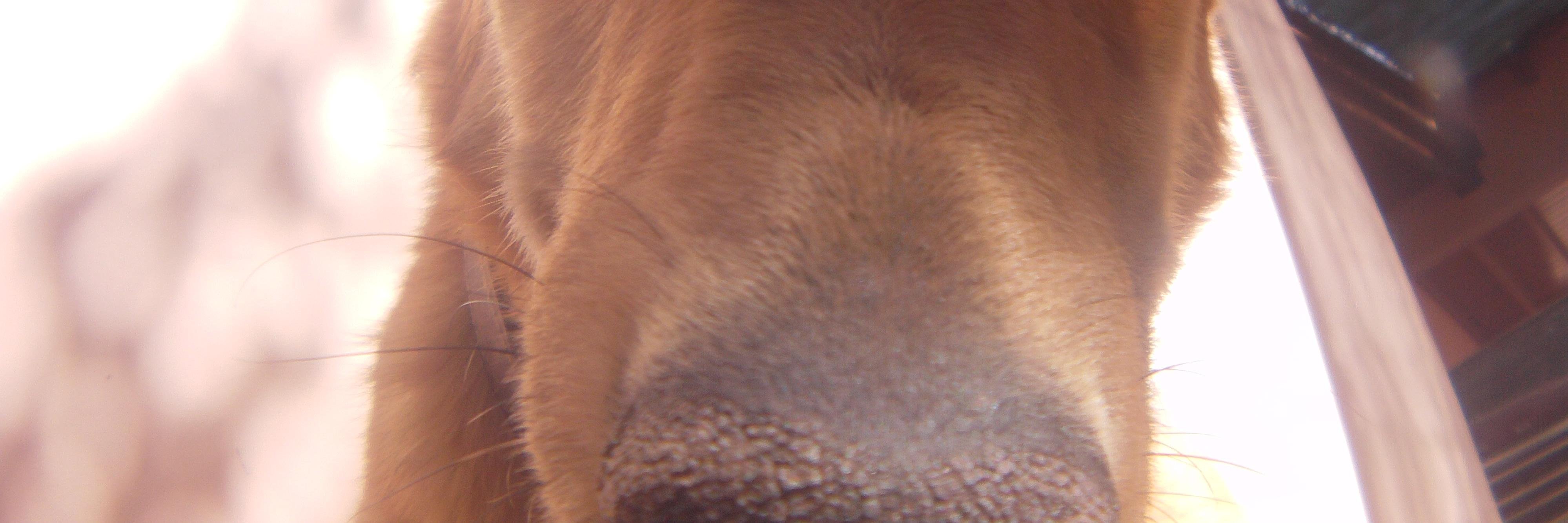 EmilianoLP86's profile banner image