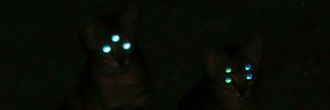 Matheuslolplaye's profile banner image
