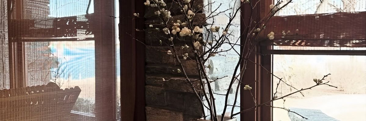 𝐀syaà banner