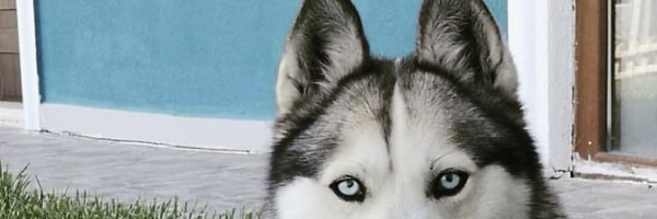 CoskunSencer Profile Banner