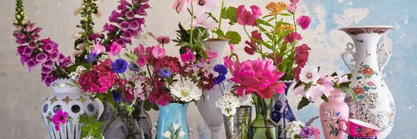 selinalake Profile Banner