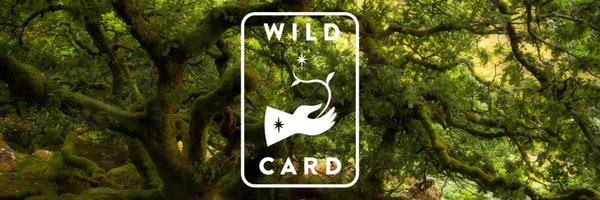 wildcardrewild Profile Banner