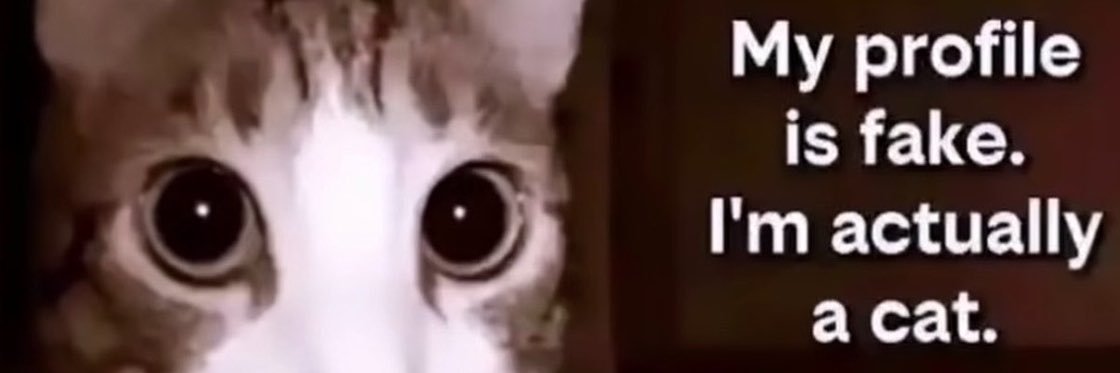 duskymind's profile banner image