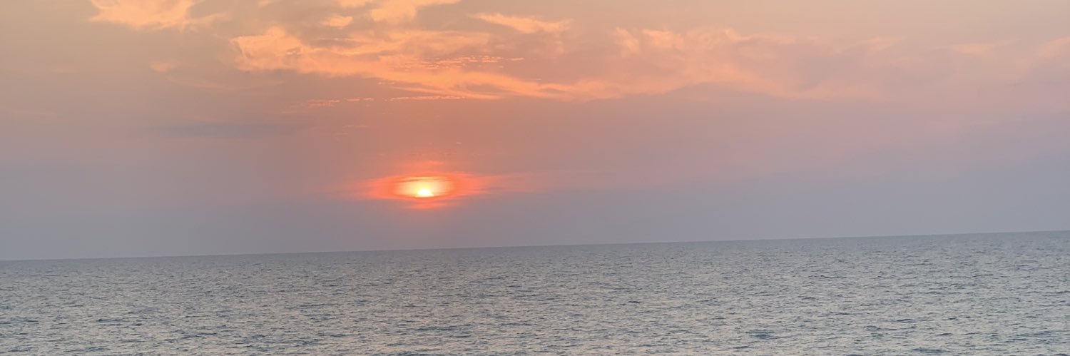 Tigrena's profile banner image
